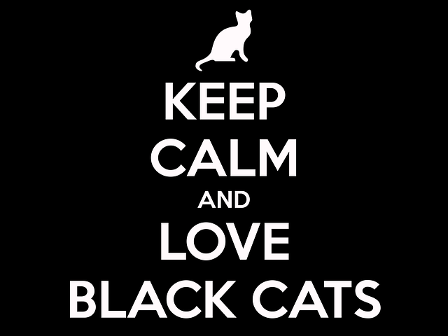 citát o černých kočkách